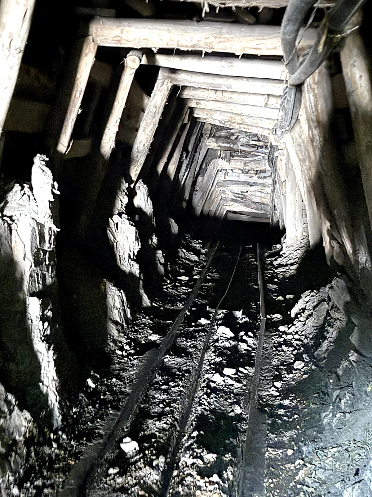 Carbón - Operación